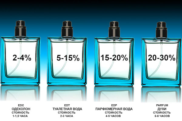 concentration perfumes