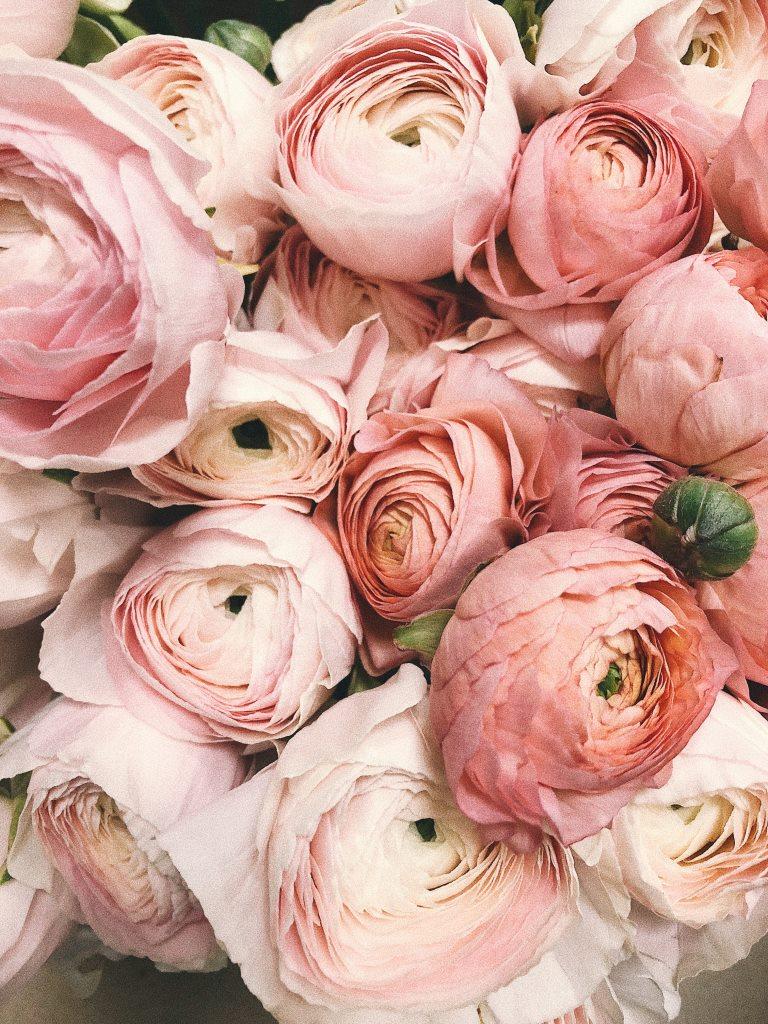 anniversary beautiful blooming 931177