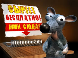 беспл сыр