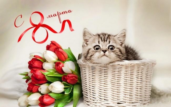 С 8 Марта вас, дорогие!!!